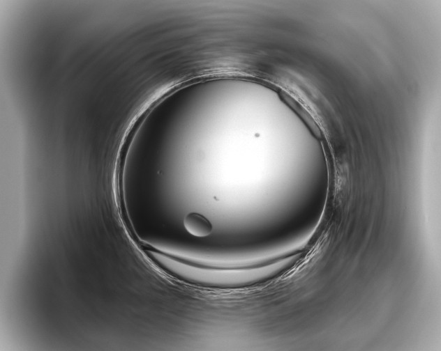 X0000096711293200802051413