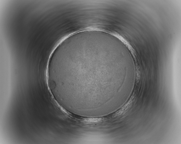 X0000096711294200802051413