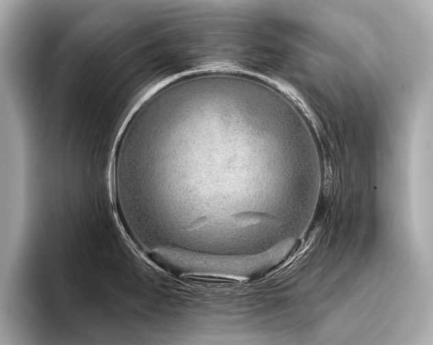 X0000096711295200802051413