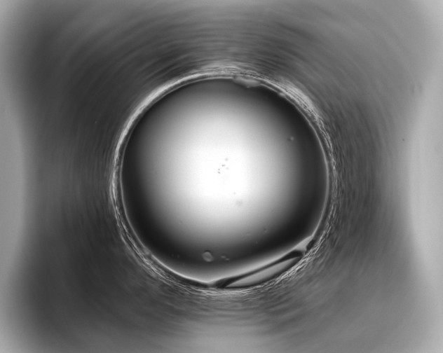 X0000096711296200802051413