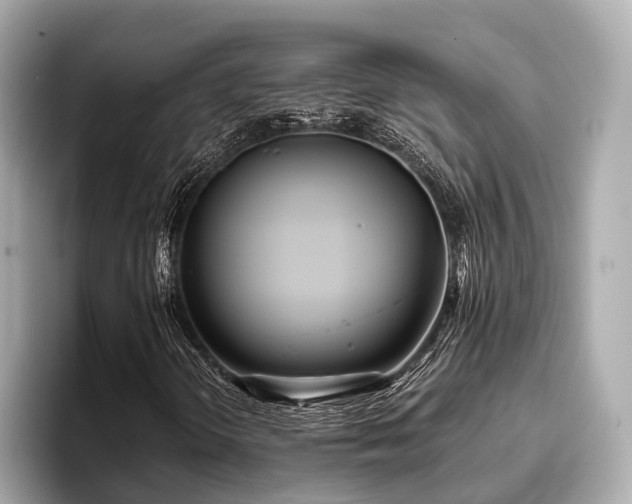 X0000096711298200802051412