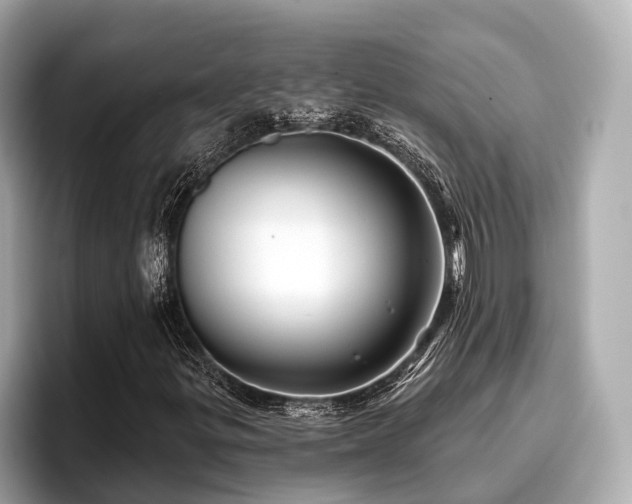 X0000096711299200802051412