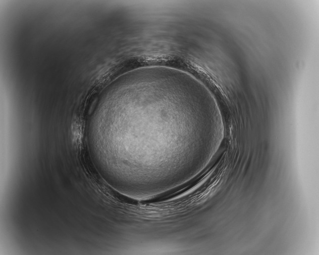 X0000096711300200802051412