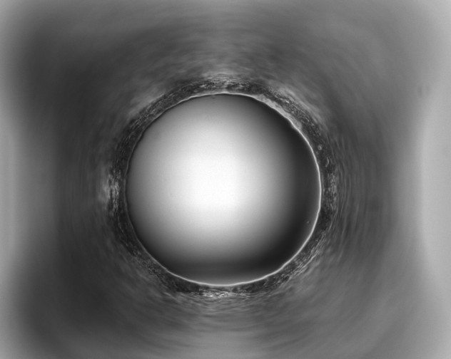 X0000096711302200802051412