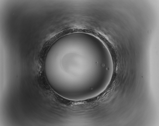 X0000096711303200802051412