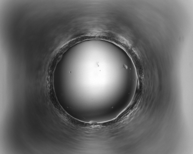 X0000096711304200802051412