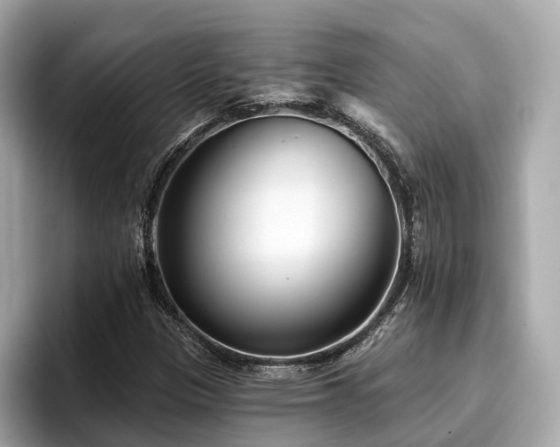 X0000096711305200802051412