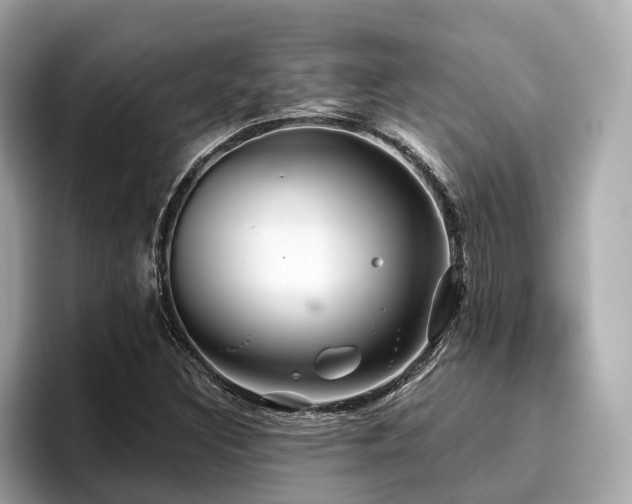 X0000096711308200802051413