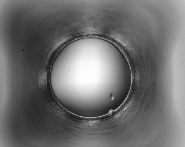 X0000096711309200802051413