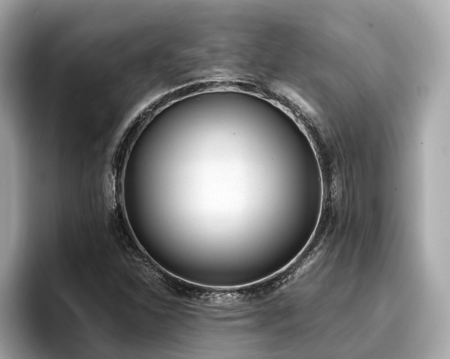 X0000096711310200802051413