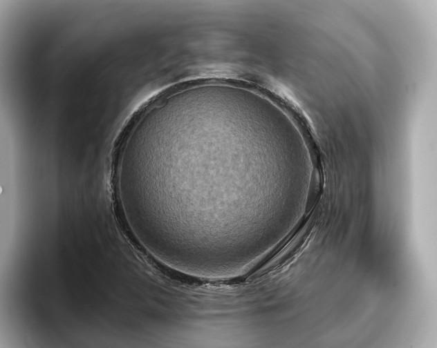 X0000096711312200802051413