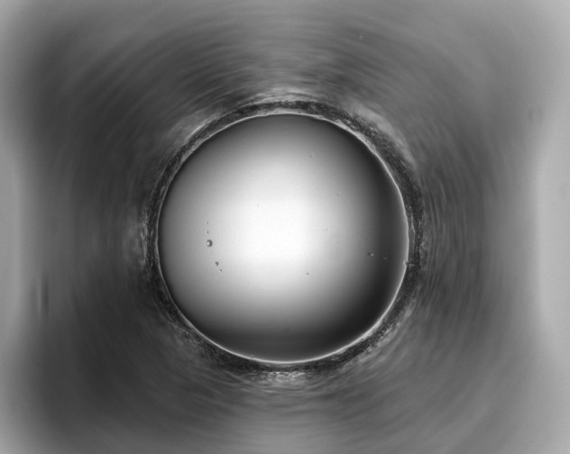 X0000096711313200802051413