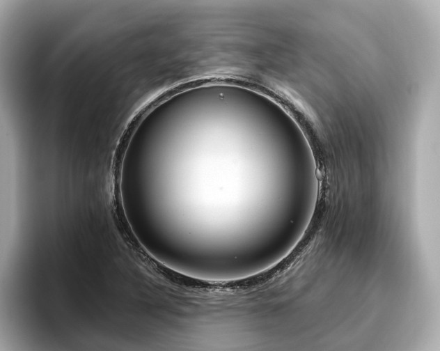 X0000096711316200802051413