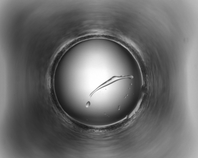 X0000096711318200802051413