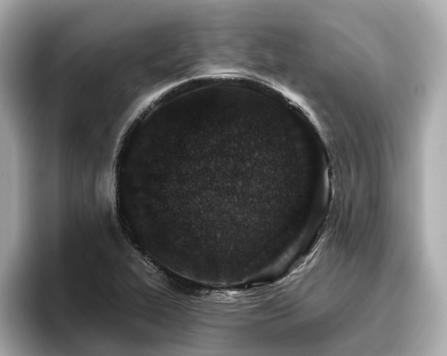 X0000096711319200802051413