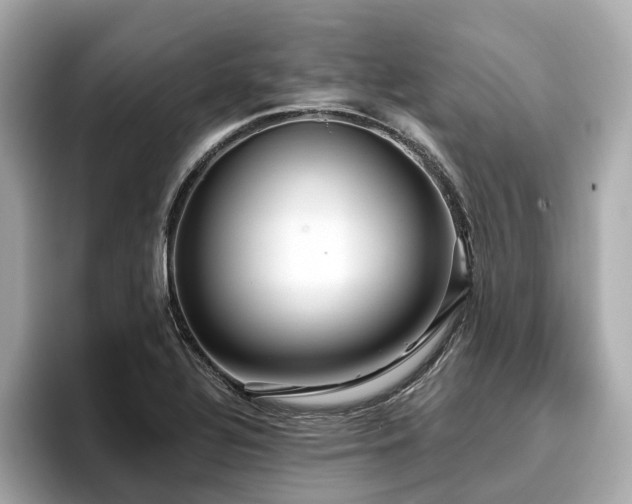 X0000096711320200802051413