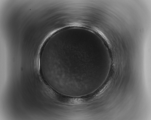 X0000096711323200802051413