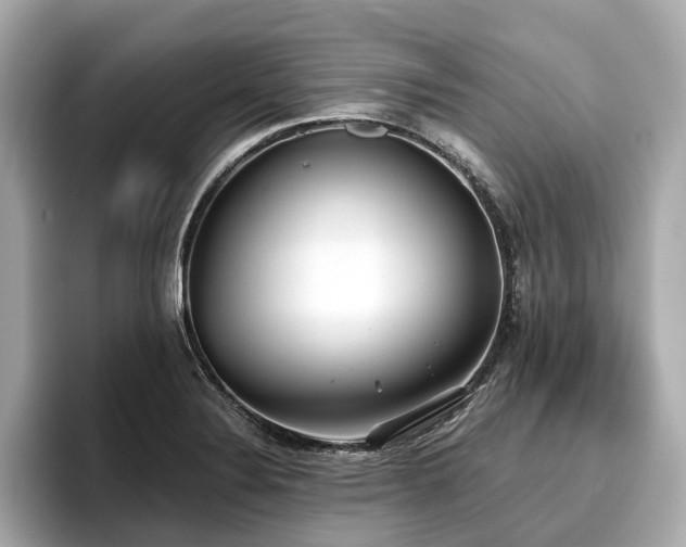 X0000096711324200802051413