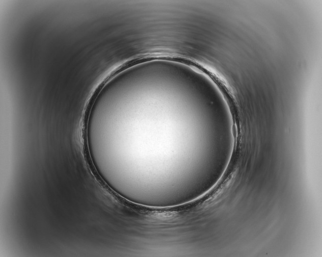 X0000096711325200802051413