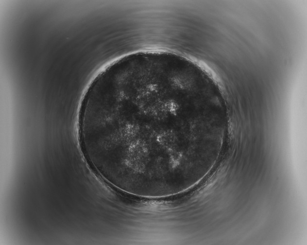 X0000096711327200802051413