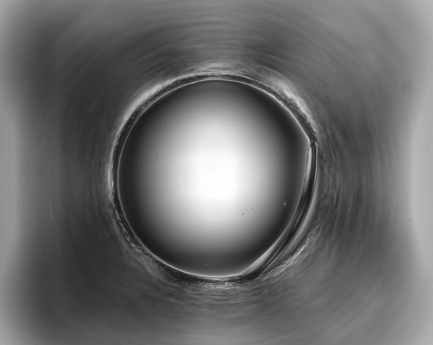 X0000096711328200802051413