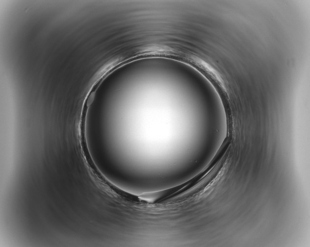 X0000096711330200802051413