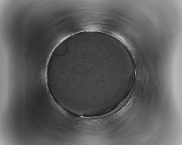 X0000096711331200802051413