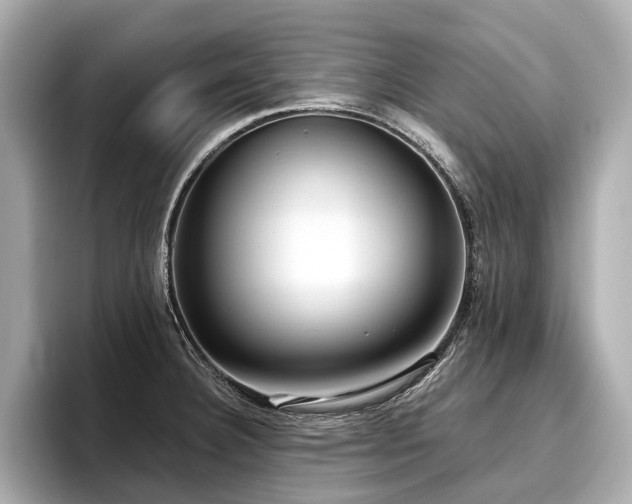 X0000096711332200802051413