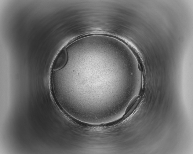 X0000096711333200802051413