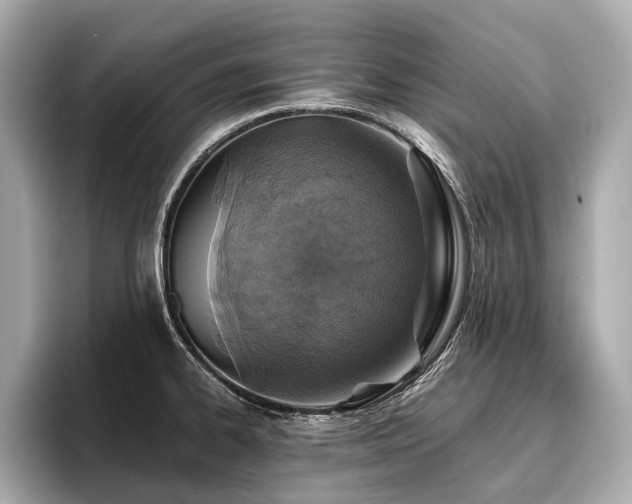 X0000096711334200802051413