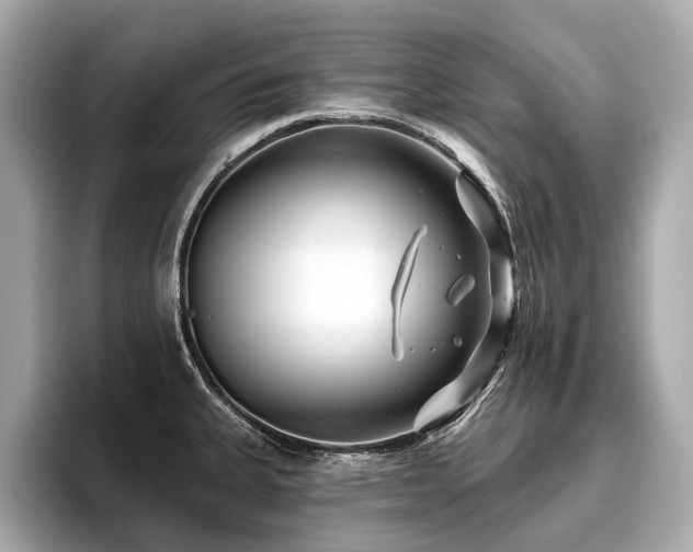 X0000096711335200802051413