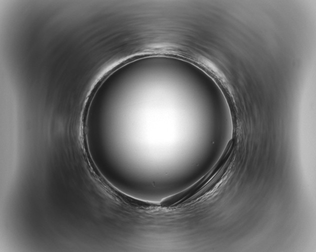 X0000096711336200802051413