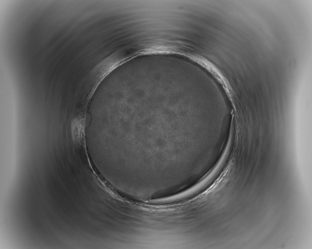 X0000096711337200802051413