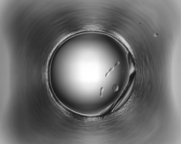 X0000096711339200802051413