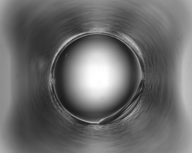 X0000096711340200802051413