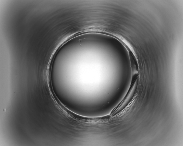 X0000096711341200802051413