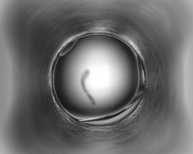 X0000096711342200802051413