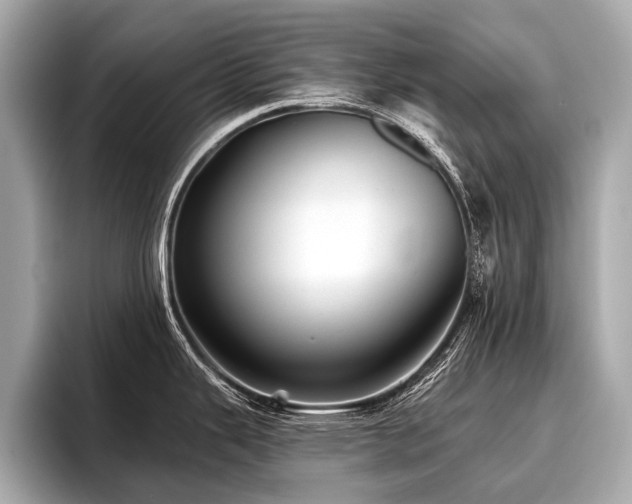 X0000096711343200802051413