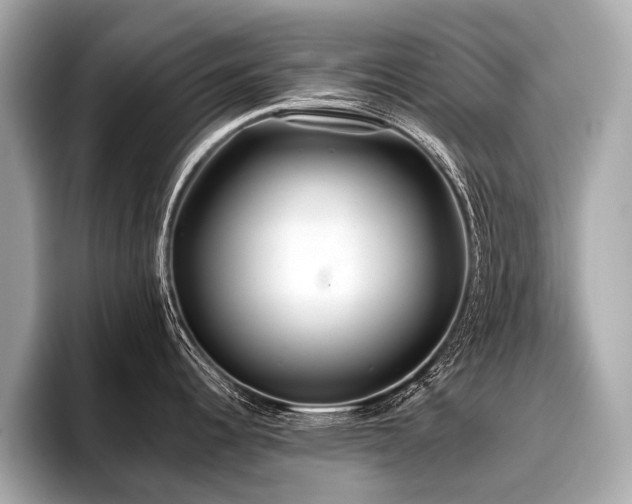 X0000096711344200802051413