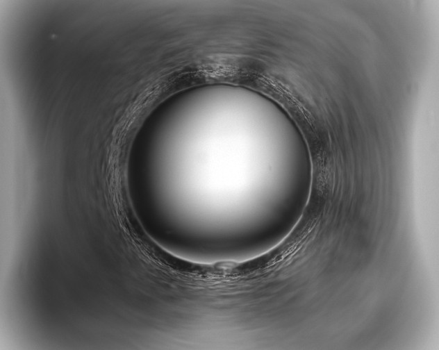 X0000096711345200802051412