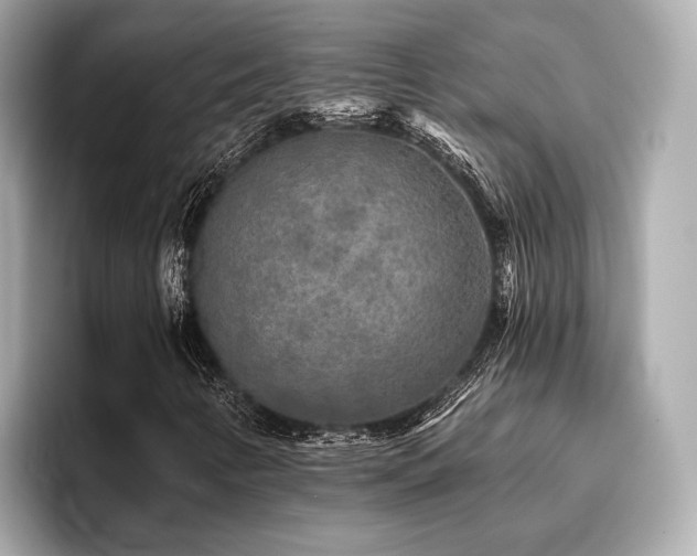 X0000096711346200802051412