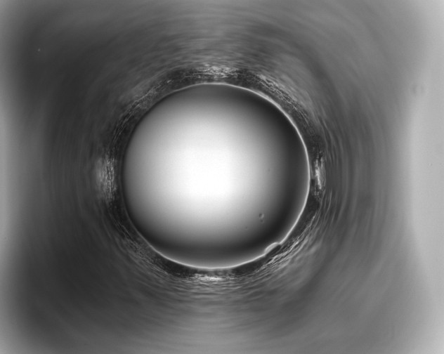 X0000096711347200802051412