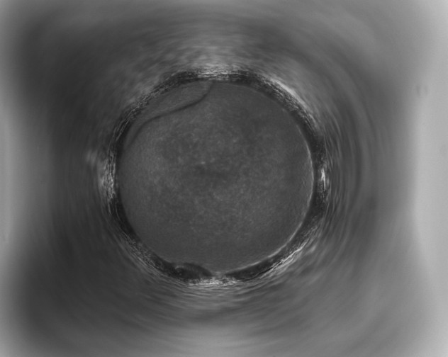 X0000096711348200802051412