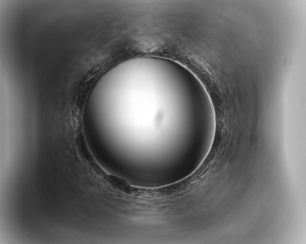 X0000096711349200802051412