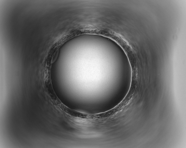 X0000096711350200802051412