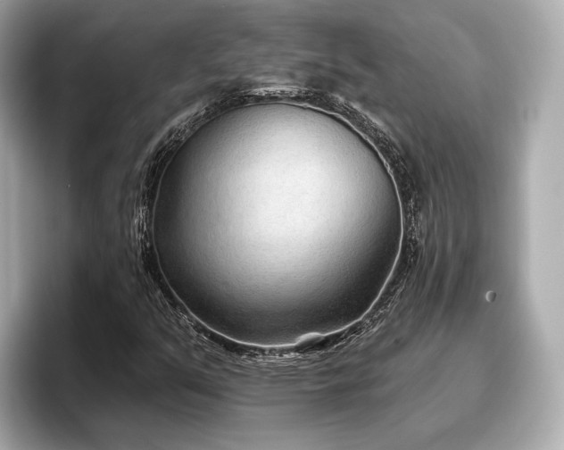 X0000096711351200802051412