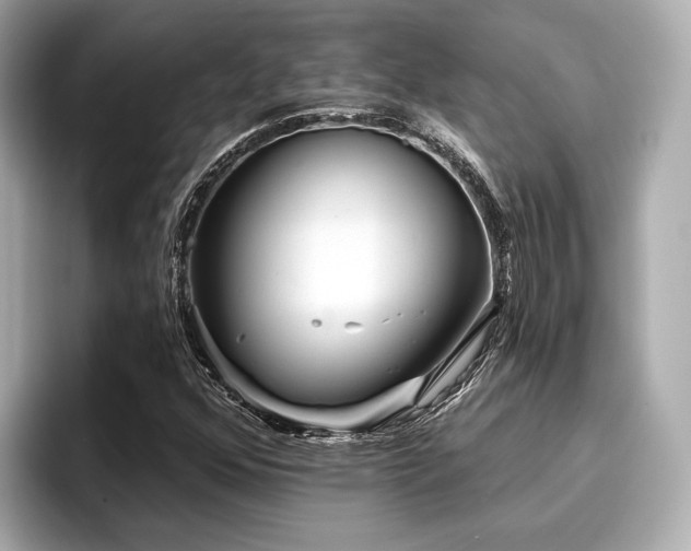 X0000096711352200802051412