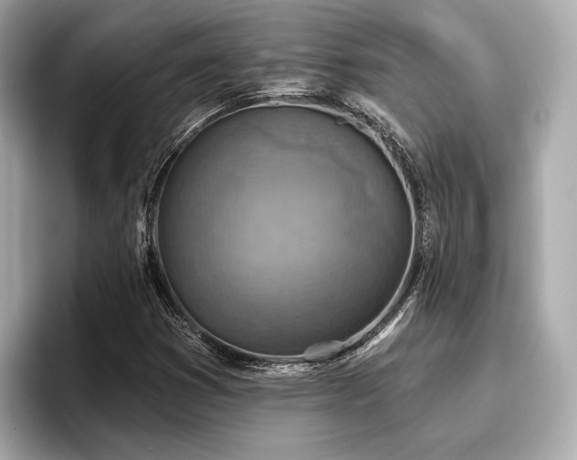 X0000096711353200802051412