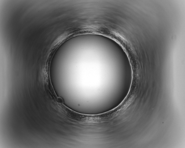 X0000096711354200802051412