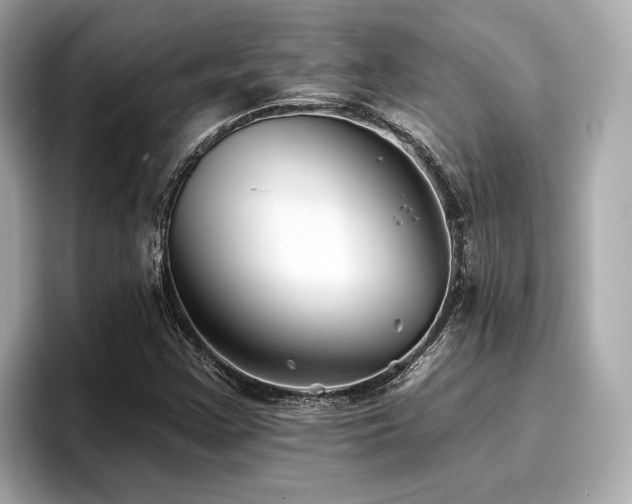 X0000096711355200802051412